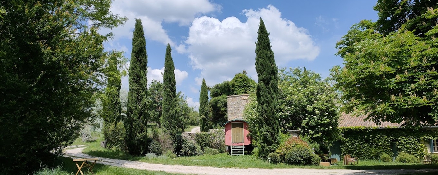 IMG20220515133227 Melanie Knopp