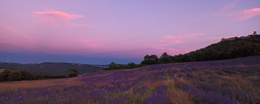 IMG_20240704_130825_220~2