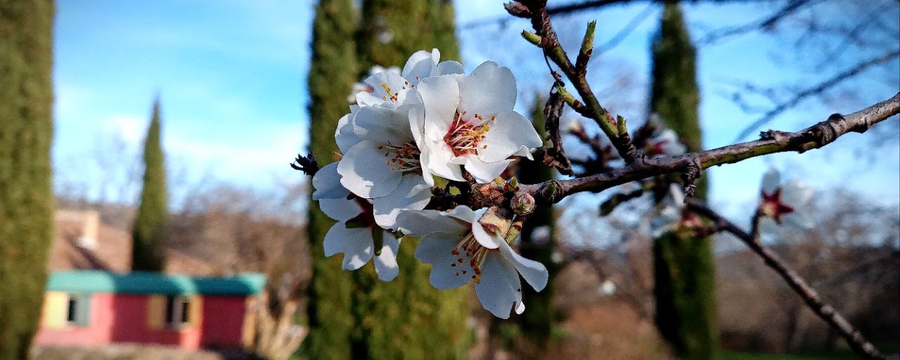 IMG_20250305_000909_115