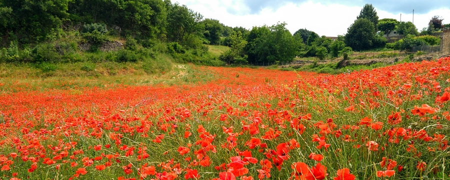 IMG_20250605_140503~2